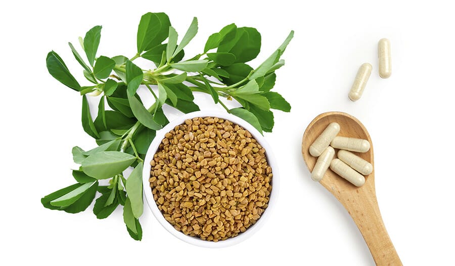 ramuan kuat pria 8 - fenugreek extract