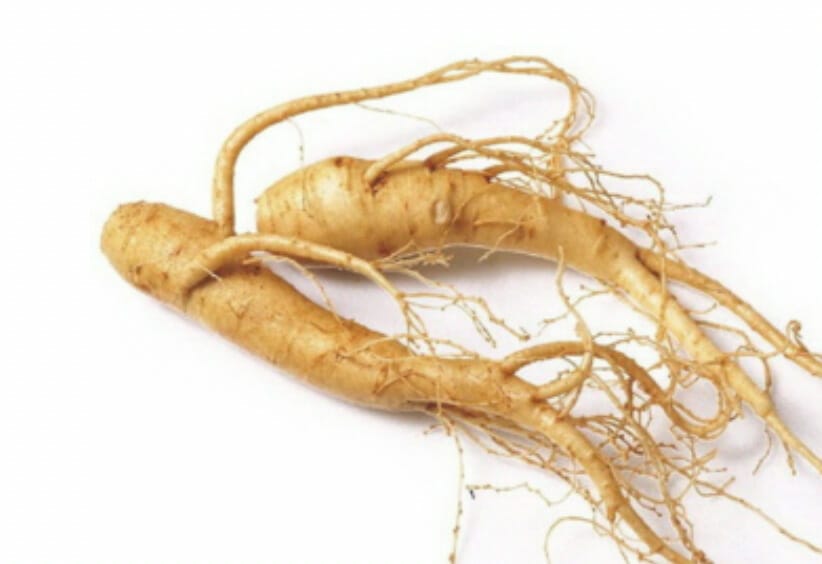 ramuan kuat berhubungan 4 - ginseng extract