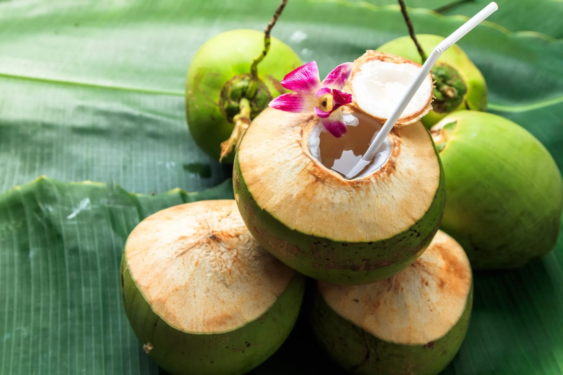 cara minum air kelapa untuk ereksi keras