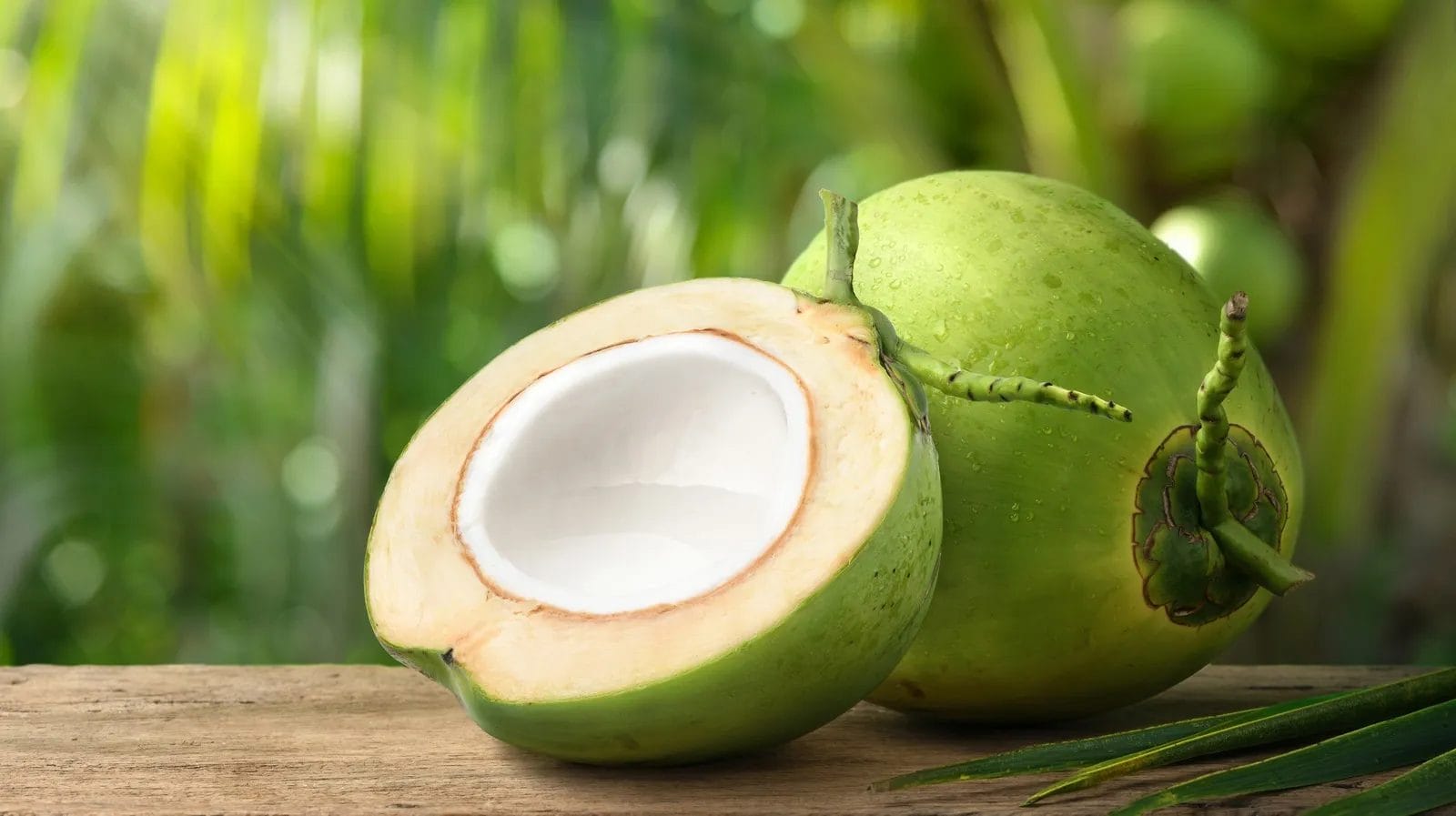khasiat kelapa untuk menyembuhkan impotensi